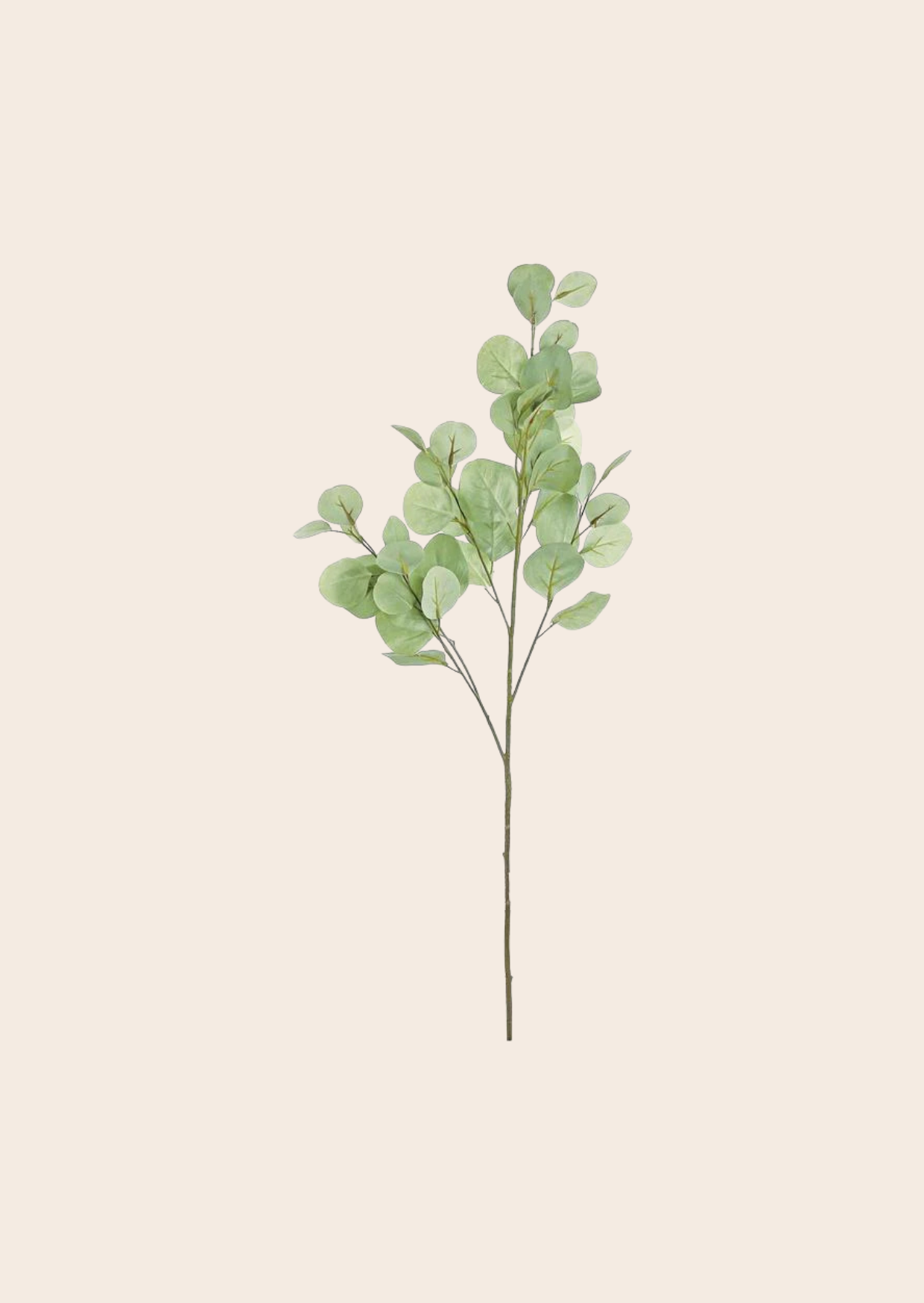 Rama Artificial Eucalipto Verde Suave
