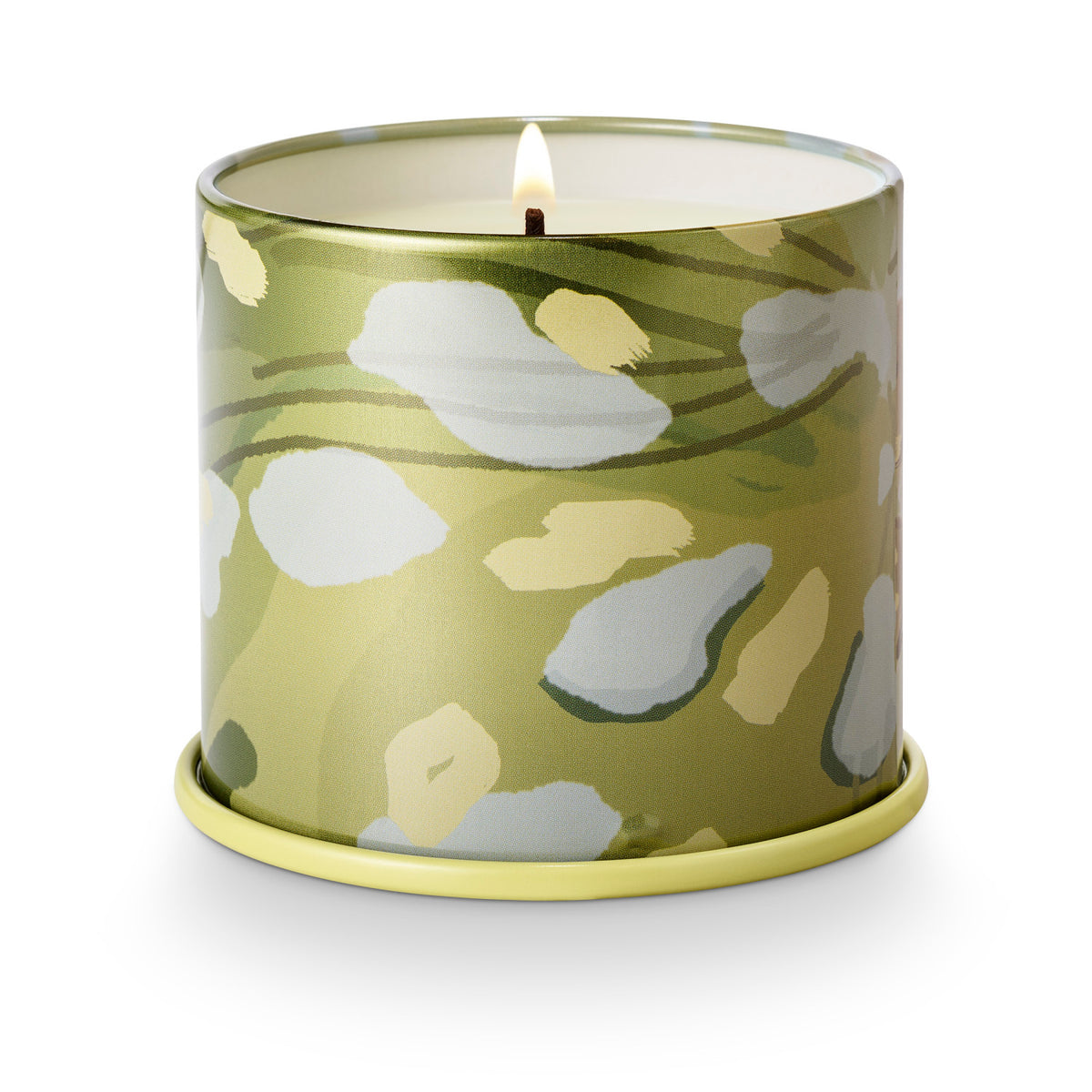 Vela aromática · Borealis Moss