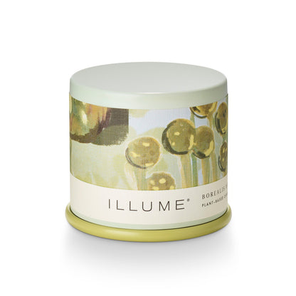 Vela aromática Borealis Moss, tamaño mini