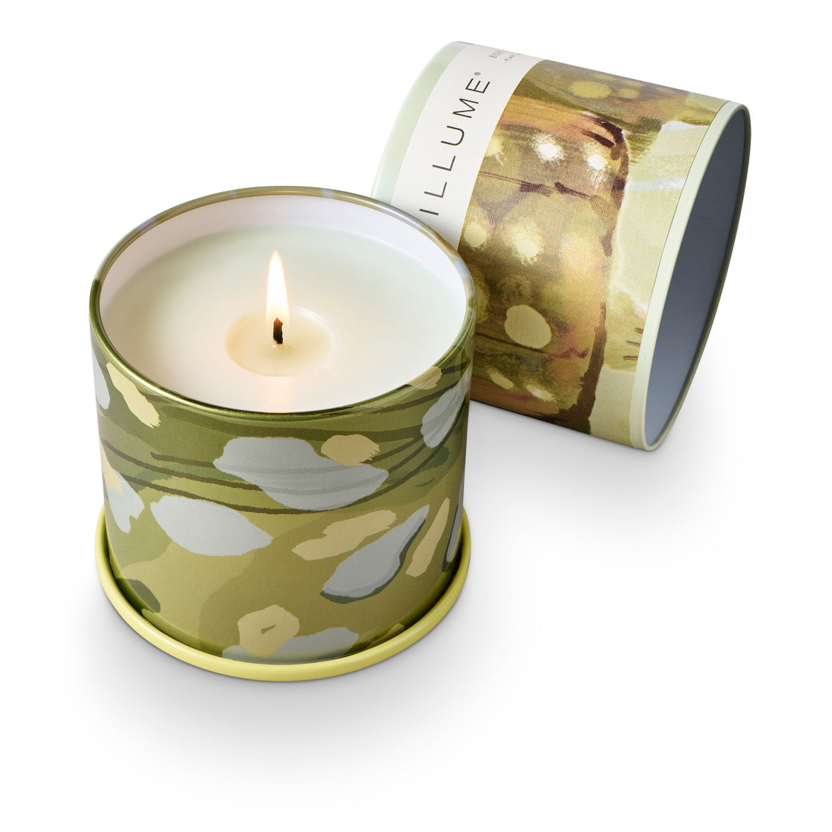 Vela aromática · Borealis Moss