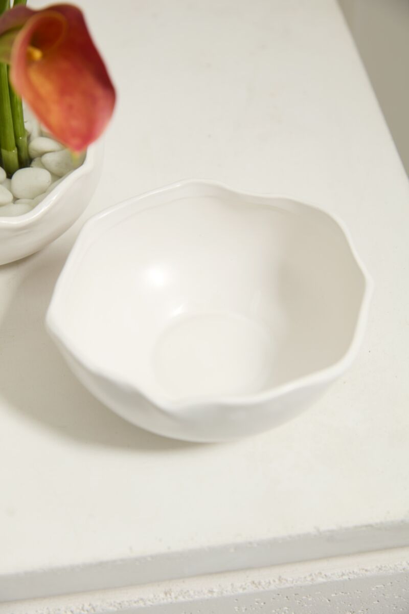 Bowl Tierra