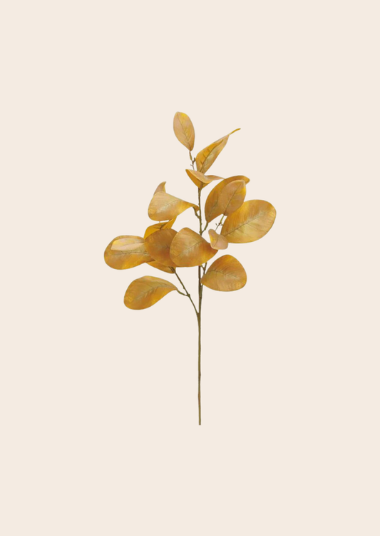 Rama Magnolio Café Claro