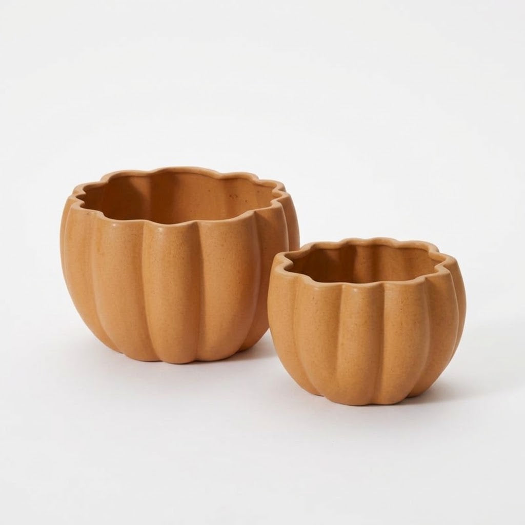 Calabaza Ámbar