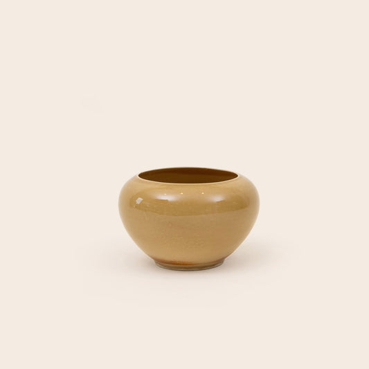 Bowl Tagua