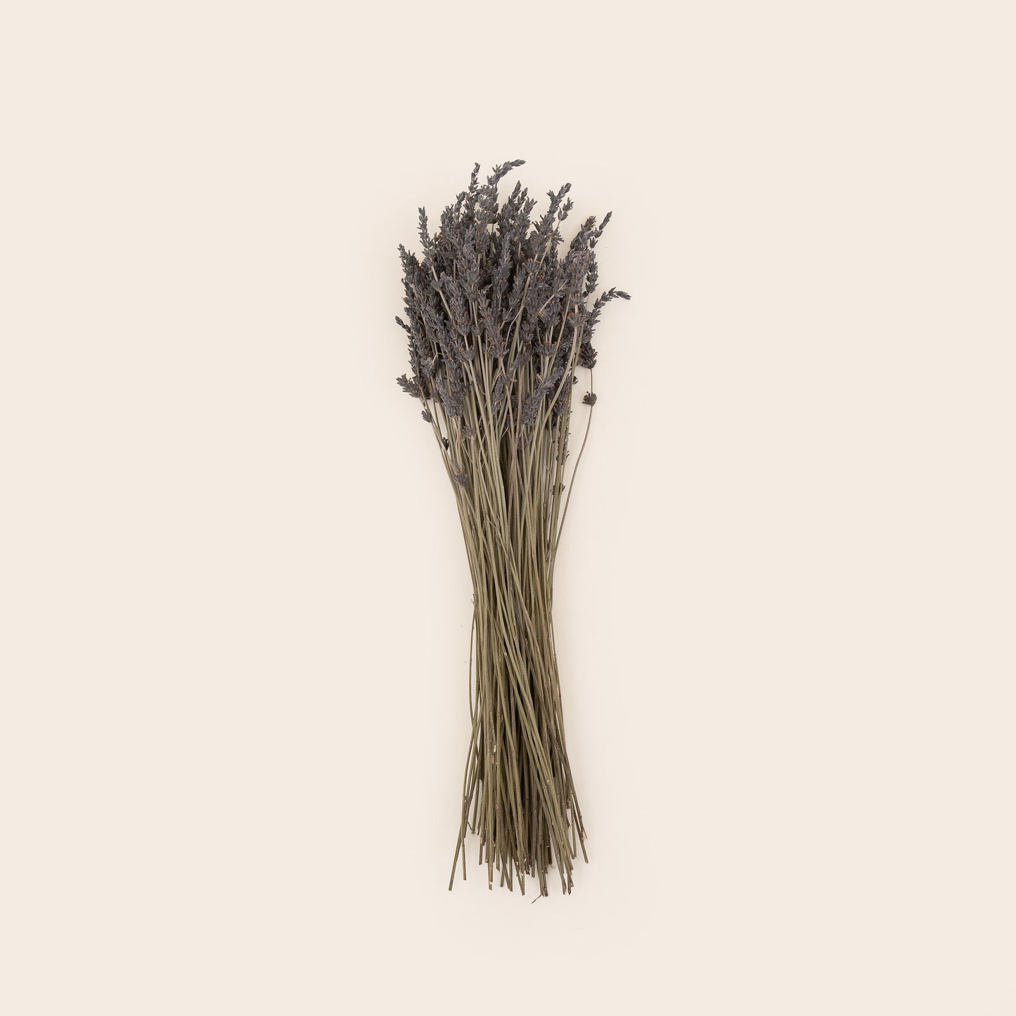 Ramo de lavanda