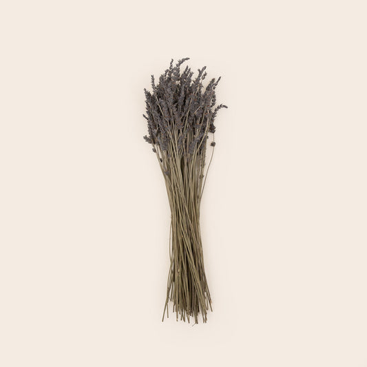 Ramo de lavanda