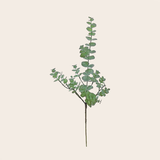 Ramo Eucalipto Verde Salvia