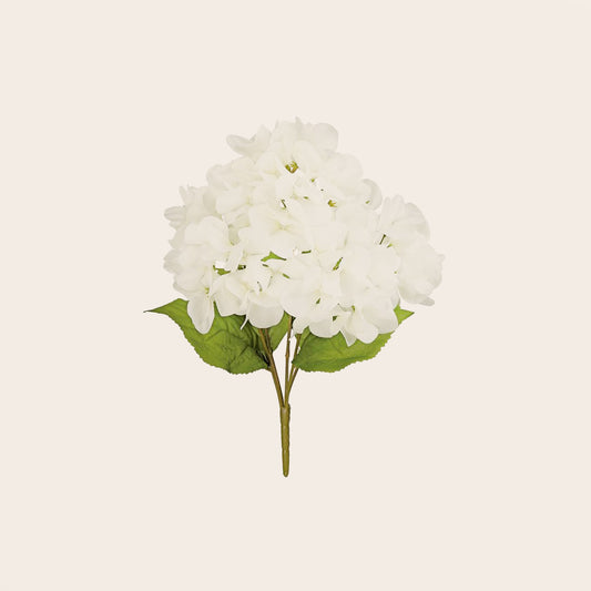 Ramo Hortensia Blanca Grande
