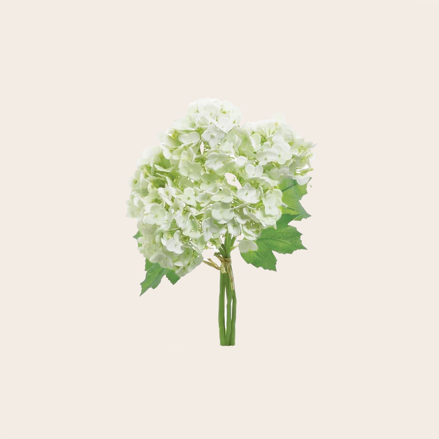 Ramo Hortensia Blanco
