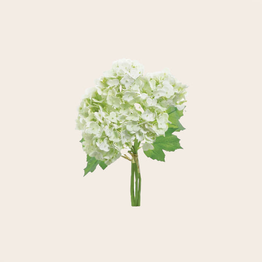 Ramo Hortensia Blanco
