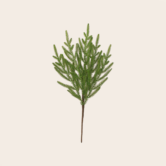 Ramo Pino de Norfolk Verde