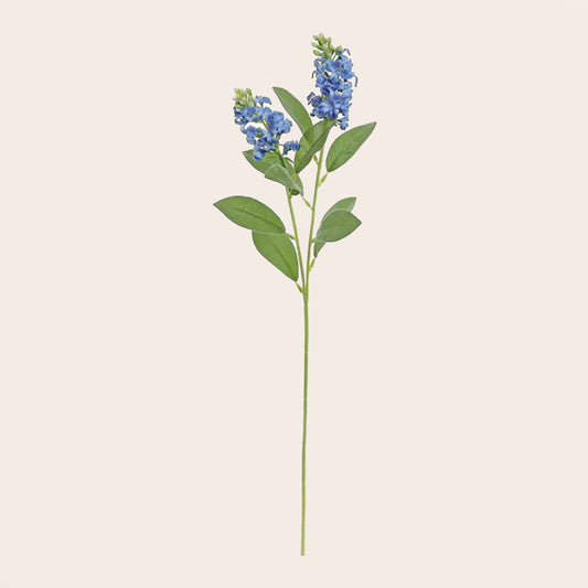 Tallo Campestre Azul