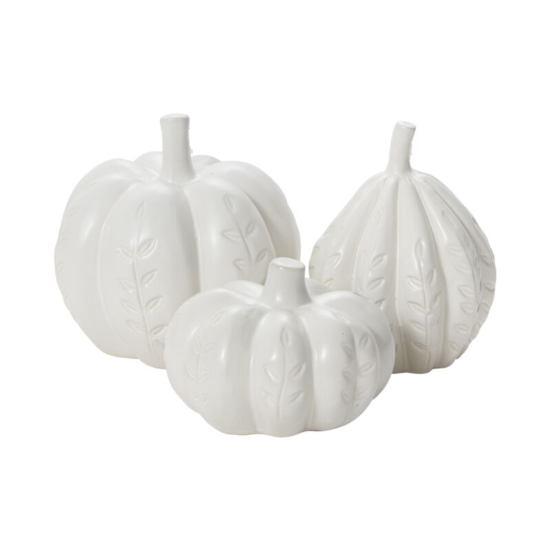 Calabaza Lino