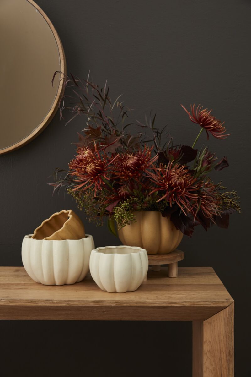 Calabaza Crema